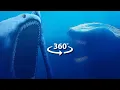 Lagu 360° VR El Gran Maja vs SEA EATER | Who Would Win?!