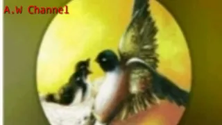 sp no 1 super jernih