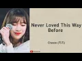 Cheeze (치즈) – Never Loved This Way Before (이렇게 좋아해 본 적이 없어요) Lyrics / Lirik Terjemahan