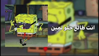 انت طلا حلو لمين مسرعه  دندنها