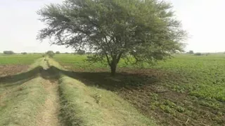 سافر مني م قال ليه  سافر مني م قال ليه