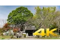 Download Lagu Tamba Kokubun-ji Kameoka - Kyoto - 仏教寺院 - 4K Ultra HD
