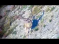 Best Buck of the Year - MonsterMuleys com