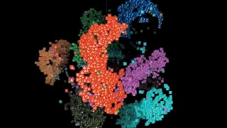 A I Experiments Visualizing High-Dimensional Space