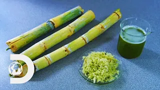 How Sugar Is Made How It S Made 