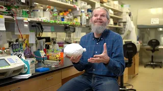 Presidential Career Research Awardee Ken Stedman and his work in PSU s Extreme Environments Lab