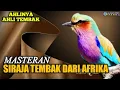 Download Lagu MASTERAN RAJA TEMBAK DARI AFRIKA
