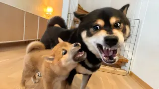 Getting A Brother Wasn’t What He Expected