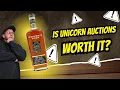 Breakdown Of My Unicorn Auctions Experience