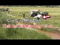 Download Lagu Tâm Lý Nông Dân Bỏ Ra 1tỷ .700trđ Thê Đất Tròng Lúa Bị Thất Bại Thê Thảm l Dũng Miền Tây