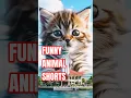 Download Lagu Ngakak! Kucing Terbang di Jam Gadang | Funny Animal Shorts