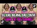 Download Lagu DJ KAU BILANG KAU CINTA KAU BILANG KAU SAYANG VIRAL TIK TOK TERBARU 2025