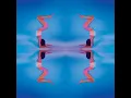 The Spine Is Quiet In The Center (Fools Remix) - Kaitlyn Aurelia Smith