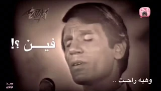 حليم شوف بقينا فين يا قلبي حالات واتس آب 