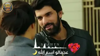 تامر حسني كل اللهجات دندنها