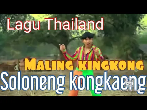 Download MP3 Lagu Thailand MALING KING KONG SOLONENG KONGKENG (Oficial video clip )