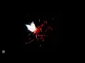 Download Lagu Impacto - enjambre best part!