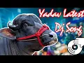 Download Lagu Sadar Sayyata || 2019 Latest డిజె సాంగ్ || Yadav New Songs || Ðĵ Shiva Smiley Remix ✪