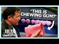 What is the Difference Between Bubble Gum and Chewing Gum Food Unwrapped