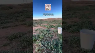 البيرق الشامخ ريحة الريحان شعر 