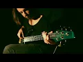 "STABWOUND" (Necrophagist) - Bass Cover