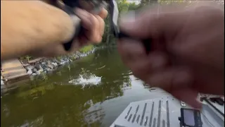 A GOOD DAY OF FISHING