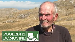 Šta je istinska sreća? - Bindžuj "POGLEDI IZ DOMOVINE"