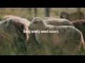 Sounds of Sustainability LG E and KU