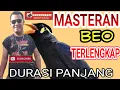 Download Lagu Suara Beo Gacor Masteran Beo Durasi Panjang Full Isian-Burung Beo Bisa ngomong(Burung Beomp3)