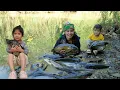 Catching fish, trapping fish, blocking water to catch fish - cooking with my little daughter