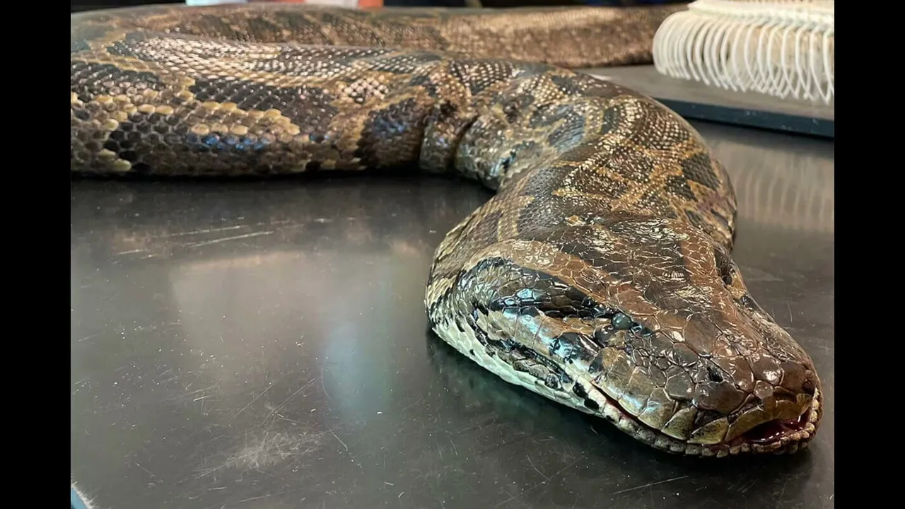 Edited by me from raw recording.