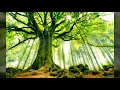 Download Lagu Quran surah Al-Inshiqaq (chapter 84) by sheikh abdurahaman sudais