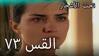 73سنوات الضياع 