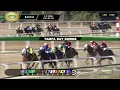 February 7 2026 Race 8