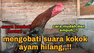 Download CARA OBATI SUARA KOKOK AYAM YG HILANG MP3