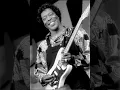 Buddy Guy - I Smell a Rat
