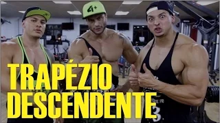TRAPÉZIO DESCENDENTE VOLTOU (vídeo original)