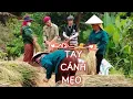 Download Lagu CÔN MẸO É LẢY MIA TAY MỚI PI NỌNG TỎN LE 🤣🤣👏👏