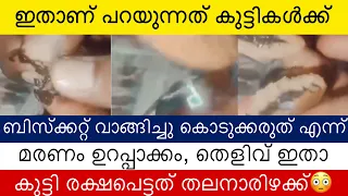 ഇതാണ് പറയുന്നത് കുട്ടികൾക്ക് ബിസ്ക്കറ്റ് വാങ്ങിച്ചു കൊടുക്കരുത് എന്ന്, മരണം ഉറപ്പാണ് 😳