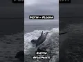 Download Lagu Destin - Florida #youtubecontent #youtubesubscribers #destin #florida