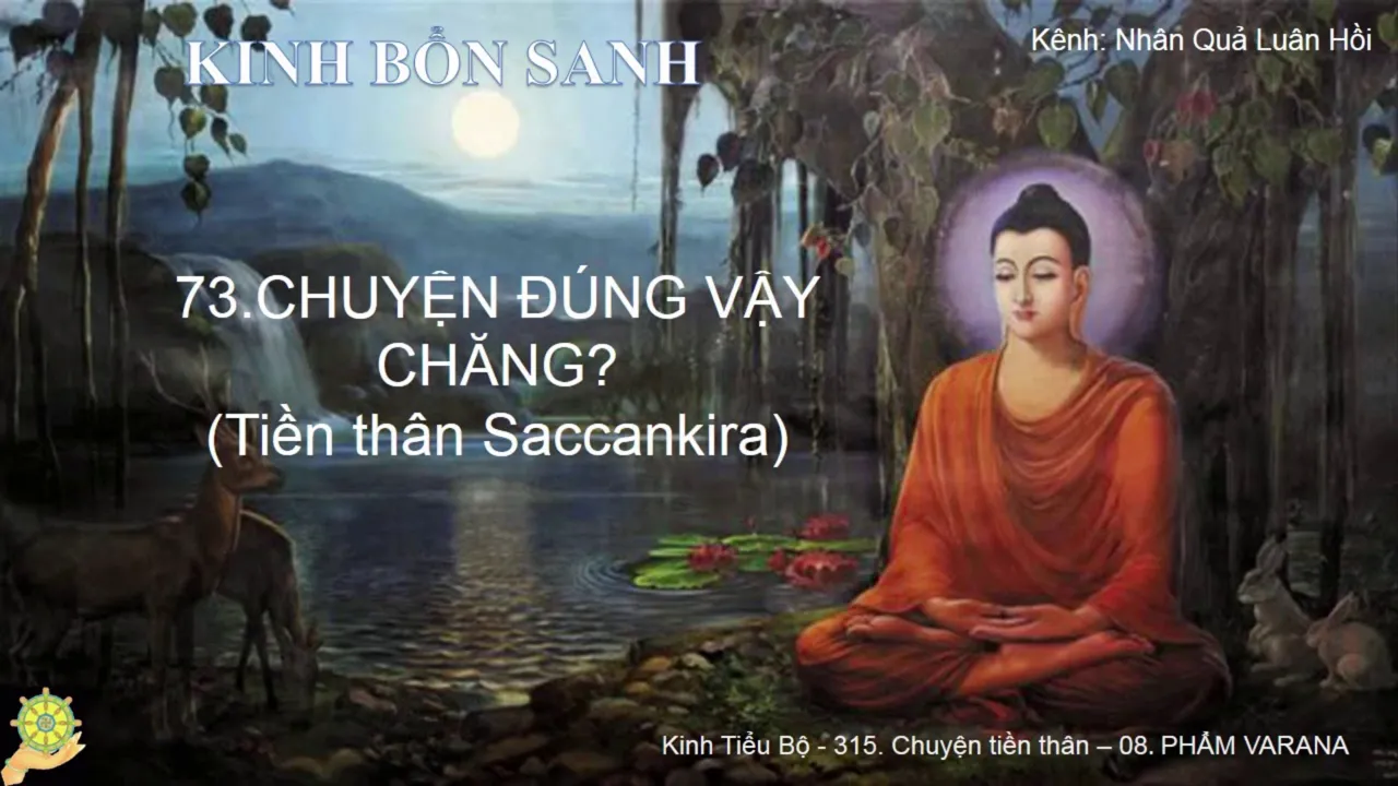 73 Truyện ÐÚNG VẬY CHĂNG Tiền thân Saccankira K.Bổn Sanh, Bổn Sự 