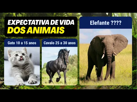 Download MP3 Qual é a expectativa de vida dos animais?