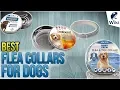 7 Best Flea Collars For Dogs 2018
