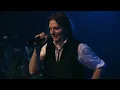 Miguel Mateos - Obsesión (En Vivo)