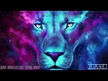 Paul Kalkbrenner - Graf Zahl