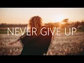 WildVibes \u0026 Arild Aas - Never Give Up (Lyrics)