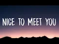Download Lagu Imagine Dragons - Nice to Meet You (Lyrics)