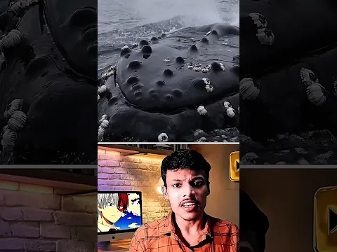 गलती से भी इसके पास मत जाना #shorts आखिर यह है क्या?