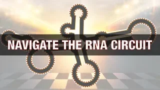 Navigating the RNA Circuit