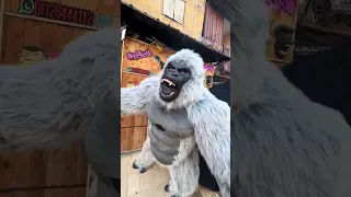 انا اسمي واحده تاريخ Explore مهرجانات اكسبلور حالاتواتس Song Dance مهرجان الغوريلا 